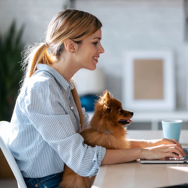 Amor con responsabilidad: ¿qué es la tenencia responsable de animales de compañía?